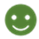 Grüner Smiley